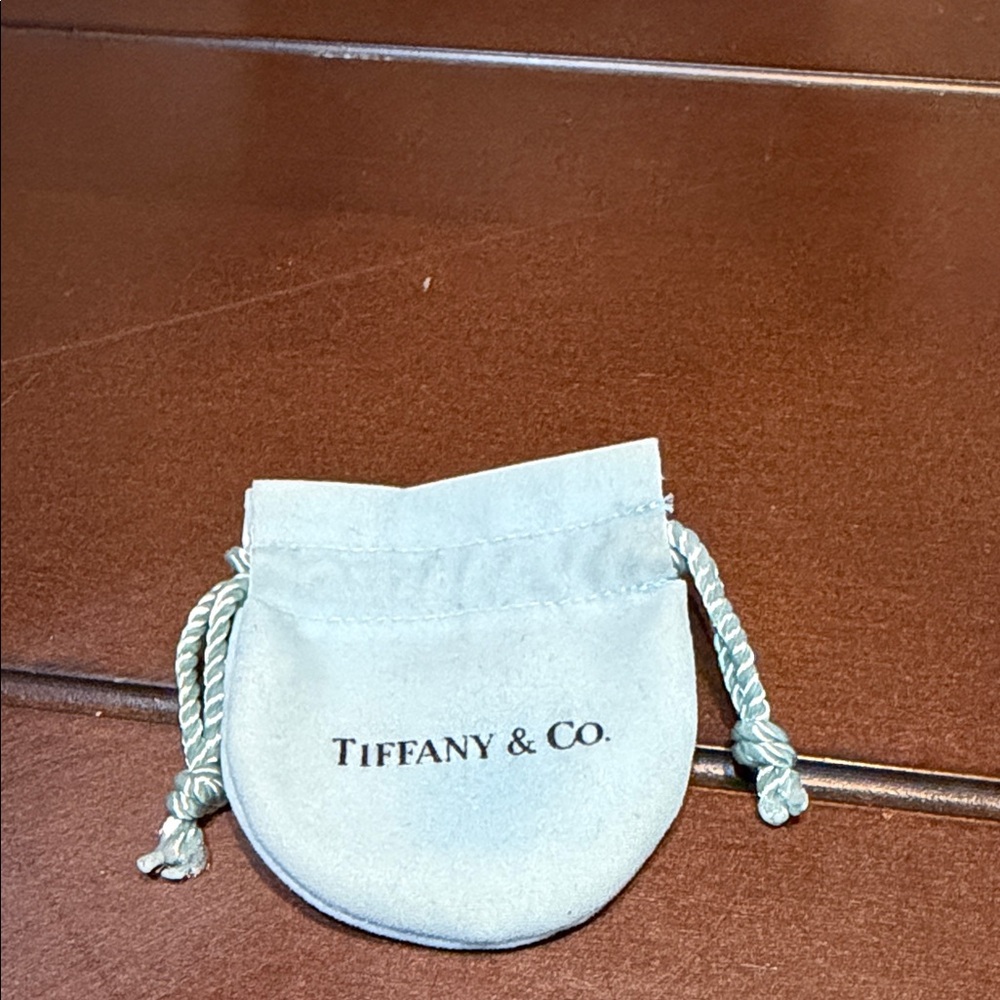 Tiffany & Co. Blue Jewelry Pouch